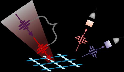 Quantum-correlated Raman photon detection concept